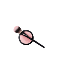 Makeup Brush